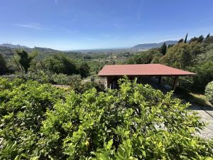 Villa Malaspina Mare |  -  - 