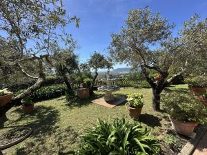 Villa Malaspina Mare |  -  - 