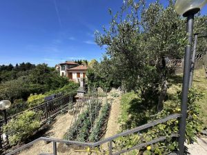 Villa Malaspina Mare |  -  - 