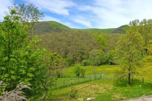 La Casa nella Prateria |  -  - 