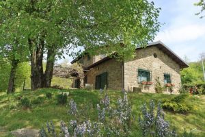 La Casa nella Prateria |  -  - 