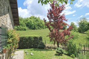 La Casa nella Prateria |  -  - 