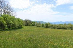 La Casa nella Prateria |  -  - 