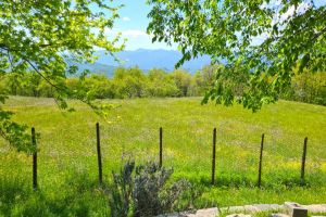 La Casa nella Prateria |  -  - 