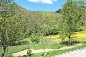 La Casa nella Prateria |  -  - 