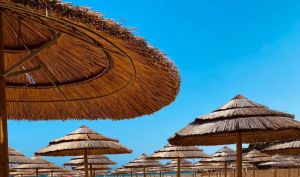 Casa Mentana |  -  - 