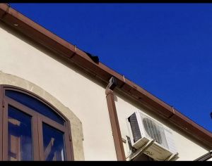 Casa Mentana |  -  - 