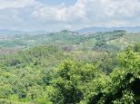 Il Villino dell' Amore | Lerici/San Terenzo/Tellaro - Wohnungen und Villen - Golfo dei Poeti