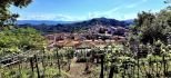 Il Villino dell' Amore | Lerici/San Terenzo/Tellaro - Wohnungen und Villen - Golfo dei Poeti