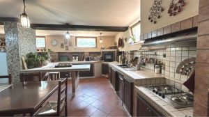 Il Diamante di Arcola con Giardino |  -  - 