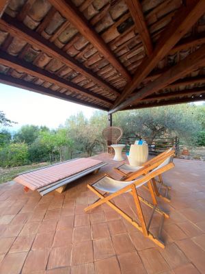Tenuta Sant' Ambrogio |  -  - 