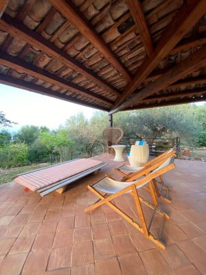Tenuta Sant' Ambrogio |  -  - 