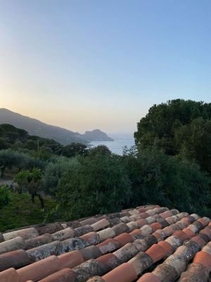 Tenuta Sant' Ambrogio |  -  - 