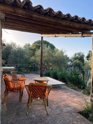 Tenuta Sant' Ambrogio |  -  - 