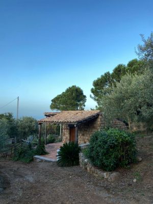 Tenuta Sant' Ambrogio |  -  - 