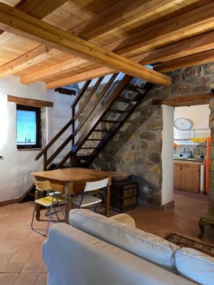 Tenuta Sant' Ambrogio |  -  - 