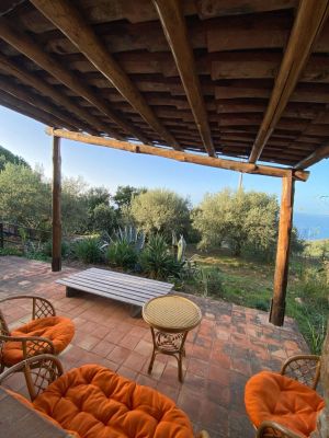 Tenuta Sant' Ambrogio |  -  - 
