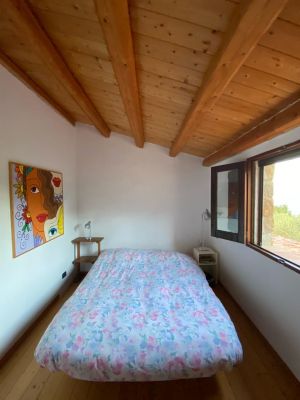 Tenuta Sant' Ambrogio |  -  - 