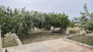 Antica Tenuta Modica  |  -  - 