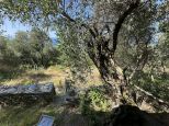 Antico Rustico Paradiso  |  -  - 