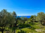 Antico Rustico Paradiso  |  -  - 