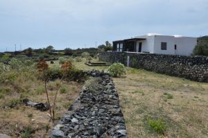 L' Antica Tenuta del Gattopardo |  -  - 