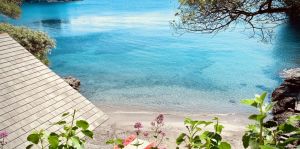 Super Attico Portofino |  -  - 