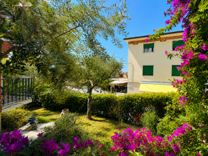 La Casa delle Stelle |  -  - 