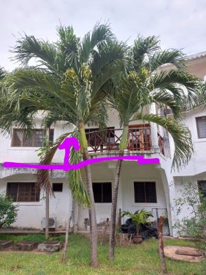 Appartamento Green Malindi |  -  - 