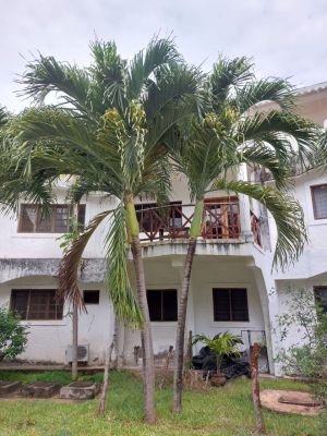 Appartamento Green Malindi |  -  - 