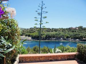 Casetta Sogno Giannutri |  -  - 