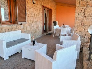 La Dimora dei Gatti in Paradiso |  -  - 