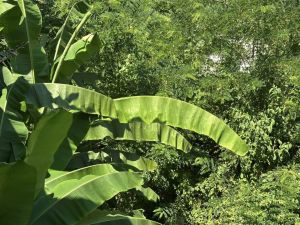 Antico Mulino del Magra  |  -  - 