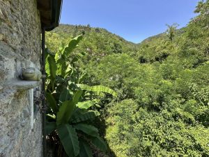 Antico Mulino del Magra  |  -  - 