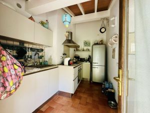 Antico Mulino del Magra  |  -  - 