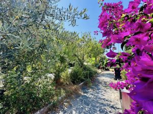 La Villa della Flo |  -  - 