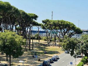 La Villa della Flo |  -  - 