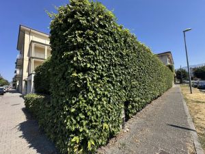 La Villa della Flo |  -  - 