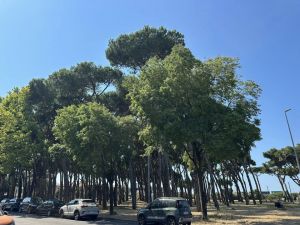 La Villa della Flo |  -  - 