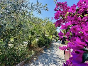 La Villa della Flo |  -  - 