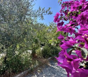 La Villa della Flo |  -  - 