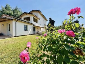Il Casale della Musica e del Buon Vino |  -  - 