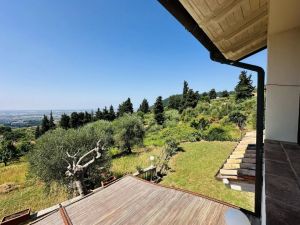 Il Casale della Musica e del Buon Vino |  -  - 