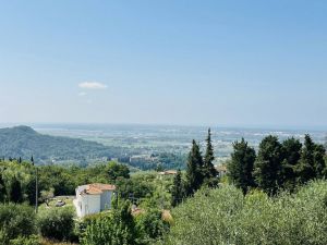 Il Casale della Musica e del Buon Vino |  -  - 