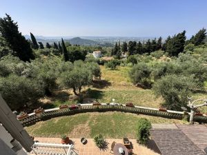 Il Casale della Musica e del Buon Vino |  -  - 