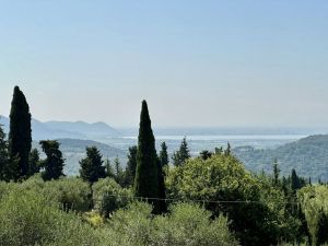 Il Casale della Musica e del Buon Vino |  -  - 