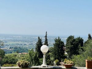 Il Casale della Musica e del Buon Vino |  -  - 