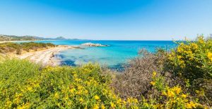 Villa Costa Rei |  -  - 