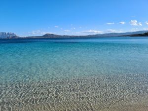 Villa il Pellicano |  -  - 