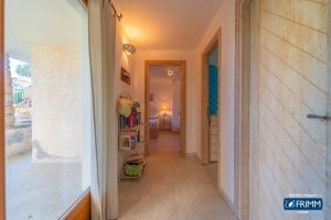 Villa il Pellicano |  -  - 